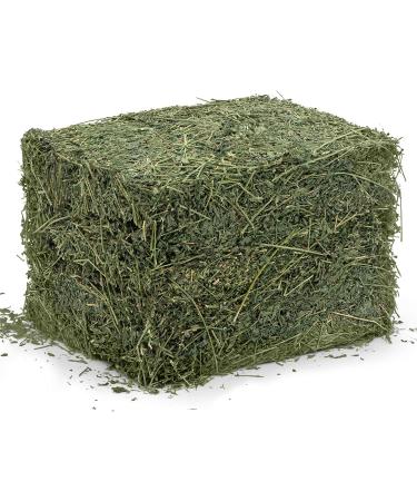 Dried Natural Alfalfa Hay for Rabbits, Guinea Pigs, Chinchillas & Ferrets - Protein and Fiber-Rich Food - 5 lb Pack - Healthy Pet Food - Buy Online on GoSupps.com