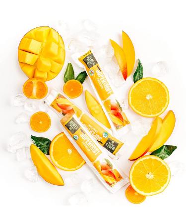 DeeBee's Organics Classic SuperFruit Freezie - 100% Real Fruit Freezer Pops, Pack of 30 - Buy Online on GoSupps.com