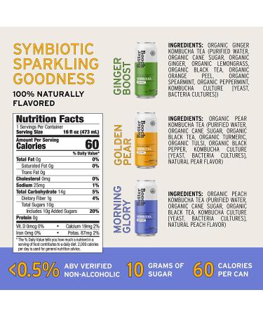 Better Booch Organic Kombucha Variety Pack - Probiotic Rich Sparkling Tea - Vegan, Gluten-Free & Low Sugar - 16 Fl Oz Cans, 9-Pack - Buy Online on GoSupps.com