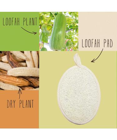 Body and Face Peeling Set - Loofah Sponge with Back Strap Peeling Glove & Face Pad for Bath & Shower - Exfoliate and Refresh - Buy Online on GoSupps.com