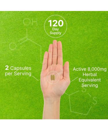 Organic 10-in-1 Mushroom Supplement 240 Capsules Lions Mane Turkey Tail Reishi Cordyceps & More Mushroom Complex Immune Energy & Nootropic Brain Support Non-GMO - Buy Online on GoSupps.com