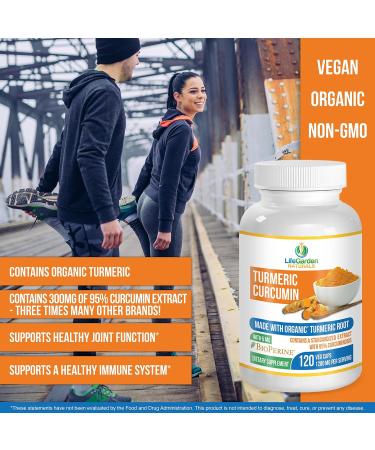 Organic Turmeric Curcumin with BioPerine & 95% Curcuminoids - 120 Non GMO Veggie Capsules by SolaGarden Naturals - Buy Online on GoSupps.com