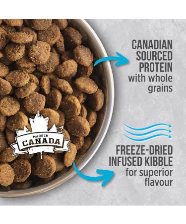 Nutrience Infusion Healthy Adult Dog Food Ocean Fish 2.27 kg (5 lb) Bag - Buy Online on GoSupps.com