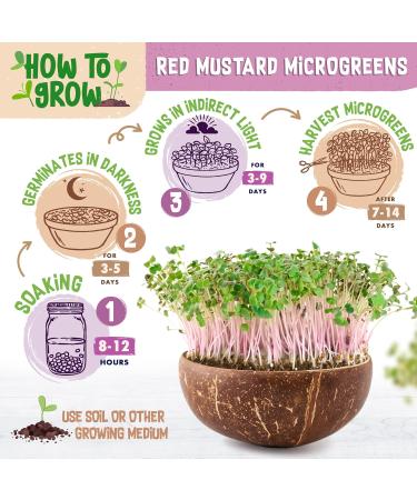 ZenGreens - Organic Red Mustard Seeds - Choose between 10g 200g and 500g - Red mustard seeds with a high g content - Buy Online on GoSupps.com