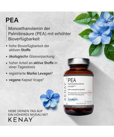  kenay PEA Levagen + Dietary Supplement 60 Vegan Capsules - Buy Online on GoSupps.com