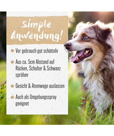 Alphazoo Grazed I Grass Mites Spray for Dogs & Cats - Natural Oil Solution for Itch Relief | 100ml - Buy Online on GoSupps.com