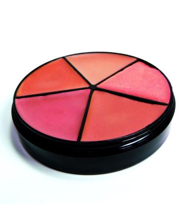 Pure Ziva  5 Shades of Natural Nude Pink & Beige Lip Stick Carouse Moisturizing Hydrating Lasting Palette  Paraben Free  No Animal Testing & Cruelty Free