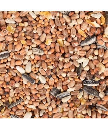 Flamingo Mix of Seeds for Bird Sky 5 kg - Buy Online on GoSupps.com