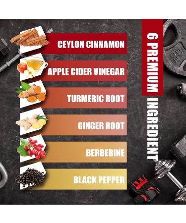 Ceylon Cinnamon Capsules with Berberine HCl Apple Cider Vinegar Turmeric Ginseng Black Pepper - 6in1 for Support Immune Function - 60 Count 60 Count (Pack of 1) - Buy Online on GoSupps.com