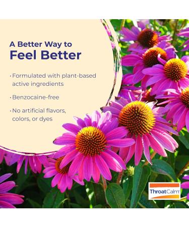 Boiron ThroatCalm Spray for Soothing Sore Throat Relief - Plant-Powered with Echinacea Natural Mint-Like Herbal Flavor - Non-Numbing & Benzocaine-Free - .68 Fl Oz (Pack of 2) - Buy Online on GoSupps.com