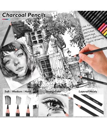 Soucolor 73 Art Supplies Kit for Adults, Teens, and Kids - Drawing Pencils Set in Zipper Case with Sketch and Coloring Books - Ideal for Beginners - Includes Metallic and Charcoal Pencils - Buy Online on GoSupps.com