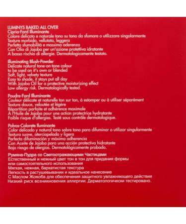 PUPA Milano Luminys Baked Illuminating Blush-Powder - 01 Stripes Rose - 0.32 Oz - Buy Online on GoSupps.com