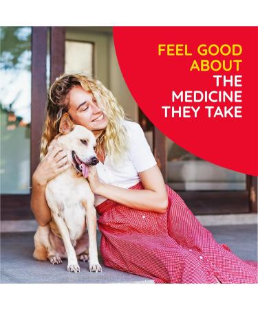 Pet Pain Relief Tablets with 12 Natural Medicines - Fast-Acting Soother for Dogs & Cats - 90 Tablets (2 Pack) - Buy Online on GoSupps.com