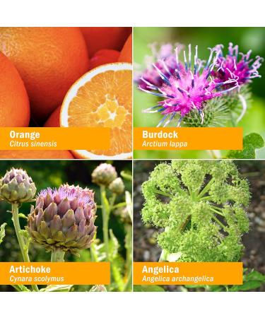 Herb Pharm Better Bitters Certified Organic Digestive Bitters Orange 1oz (2 Pack) - Natural Digestive Aid with Orange Flavor - Buy Online on GoSupps.com