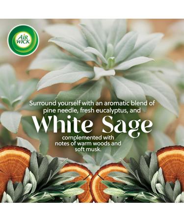 Airwick SCENTED OIL - Refill 0+2 Vibrant White Sage & Mahogany Infused with 2x More Essential Oil Clear 20.00 ml (Pack of 2) - Buy Online on GoSupps.com