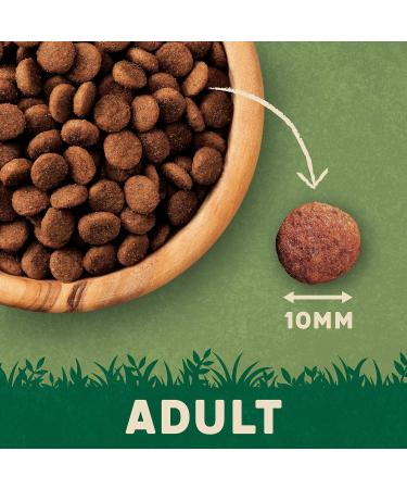 Harringtons Complete Dry Cat Food with Freshly Prepared Chicken - 4x2kg Adult Chicken 2 kg (Pack of 4) - Buy Online on GoSupps.com