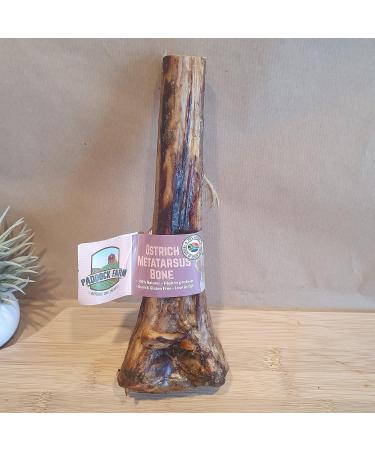 Ostrich Metatarsus Large Bone for Dogs. - Buy Online on GoSupps.com