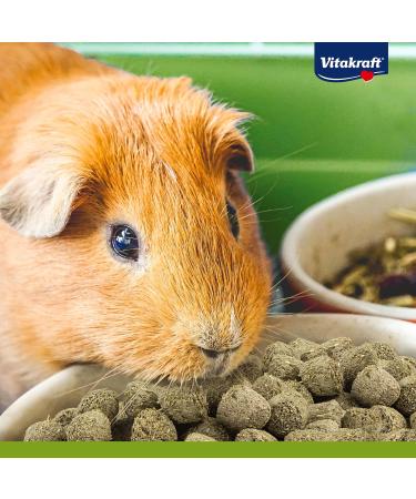 Vita Power Vita Special for Senior Dwarf Rabbits - Nutrient-Rich Main Feed with Hay & Omega Fatty Acids - No Added Sugar or Grain (600g) - Buy Online on GoSupps.com
