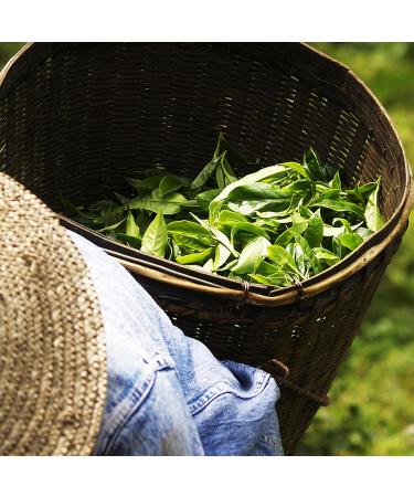  Touch Organic Touch Organic White Tea with Red Berries 24 Bags 43g - Organic - Buy Online on GoSupps.com