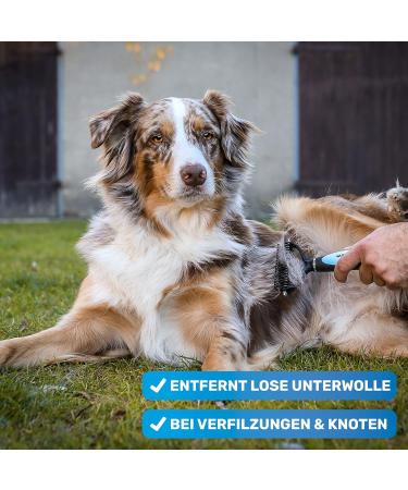 Bluepet Unterwolltoll Set: Dog & Cat Brush for Long Hair | Undercoat Comb & Dog Shampoo | Optimal Grooming Solution M-L - Buy Online on GoSupps.com