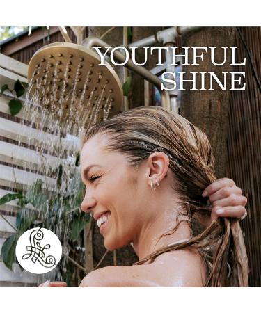 Luseta Keratin Conditioner | Hydrating & Nourishing for Dry Damaged Hair | 16.9 Fl Oz | International Shipping Available - Buy Online on GoSupps.com