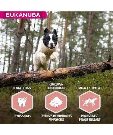 Eukanuba Senior Adult Dog Dry Food For Small and Medium Breeds Lamb & Rice 2.5kg - Buy Online on GoSupps.com