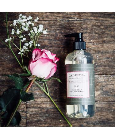 Caldrea Hand Wash Soap with Aloe Vera Gel, Olive Oil & Essential Oils - Rosewater Driftwood Scent - 10.8 oz - Buy Online on GoSupps.com