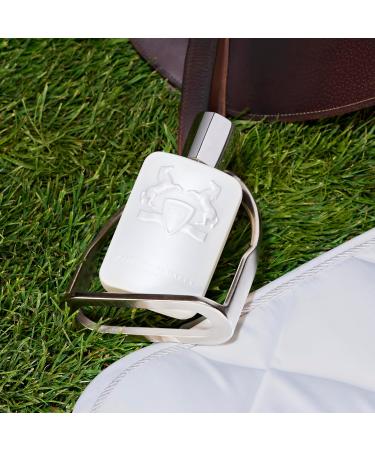 Parfums de Marly Galloway Eau de Parfum Parfum for Men 4.2 Fl Oz - Buy Online on GoSupps.com