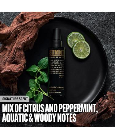 STMNT Grooming Goods Definition Spray 6.76 fl. oz | Strong Texture | Semi-Matte Finish - Buy Online on GoSupps.com