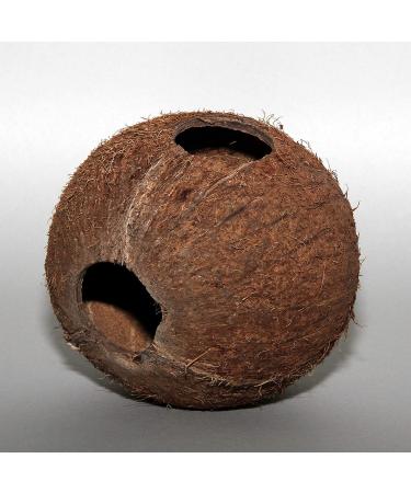 JBL 61513 Coconut Shell Cave for Aquariums & Terrariums - Cocos Cava | International Shipping Available - Buy Online on GoSupps.com