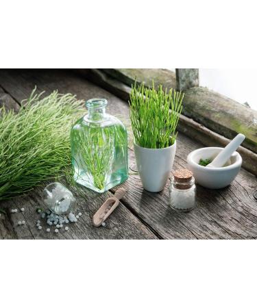  SIPF PROMINCIL 200 ml | Helps you lose weight naturally thanks to the combination of three plants: Fucus Meadowsweet and Horsetail | 100% Natural Formula | SYNERGIA Laboratory - Buy Online on GoSupps.com