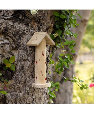 Navaris Wooden Ladybird Habitat - Hanging Ladybug House Shelter for Garden - Handcrafted Pinewood Insect Hotel for Bug Hibernation - Buy Online on GoSupps.com