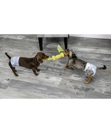 Hartz Disposable Dog Diapers - Adjustable Tail Hole, Leak Proof Protection | Multiple Sizes S - 36 Diapers - Buy Online on GoSupps.com