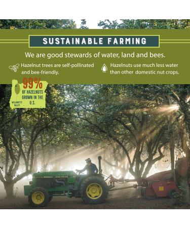 Oregon Orchard Natural Whole Hazelnuts 16oz Bag - Unsalted, Heart Healthy Snacks, Grown in Oregon - Keto-Friendly - Buy Online on GoSupps.com