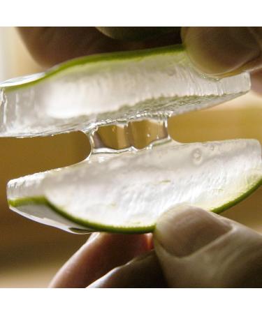 Pharmos Natur Love Your Age Eye Contour Cream - 15 ml | Anti-Aging Solutions | International Shipping Available - Buy Online on GoSupps.com