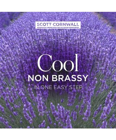 Scott Cornwall Colour Restore Toner Cool Ash 100ml - Ash Toning Treatment (Pack of 1) - Buy Online on GoSupps.com