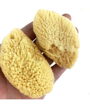 Heyiwell Natural Silk Sea Sponges - 6PC Set for Makeup Removal and Cleansing - Buy Online on GoSupps.com