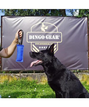 Buy Dingo Gear Cotton Nylon Bite Sausage for Dog Training - IGP IPO Obedience Protection Sport - 20x7 cm - Orange - Buy Online on GoSupps.com