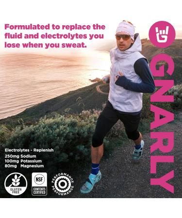 Gnarly Nutrition Hydrate Electrolyte Powder Raspberry Exercise Hydration Drink Mix NSF Contents Certified Electrolyte Solution Performance & Recovery Raspberry 14.10 oz Raspberry Bag (40 Servings) - Buy Online on GoSupps.com