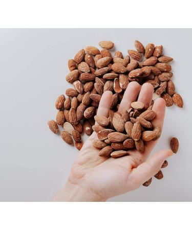 Buy Finse Kuuusi Scrub Roasted Almond 5 Liter - Premium Quality for International Shipping - Buy Online on GoSupps.com