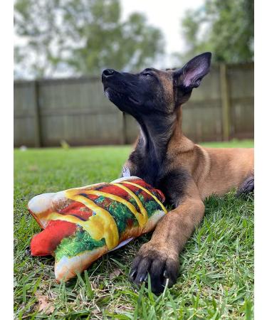 Doggijuana Juananip Refill | Premium Organic Ground Catnip for Dogs | USA Grown | All Natural | Pack of 1 - Buy Online on GoSupps.com