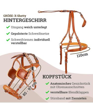 Esposita Professional Carriage Dishes for Shetland Pony & Horse - Ideal for Minishetty to XL Cold Blood Routing - Premium Quality - Buy Online on GoSupps.com