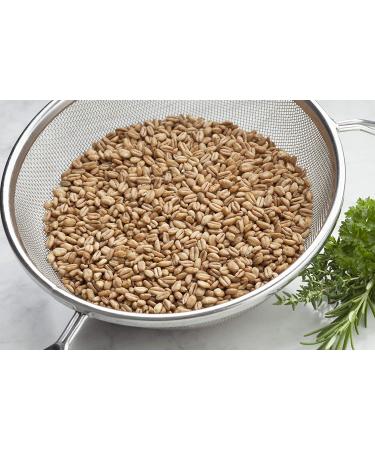 Organic Italian Pearled Farro 1lb - Kosher Vegan Grain | High Fiber | Bulk Pack - Buy Online on GoSupps.com