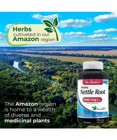 FITO MEDIC'S Lab Stinging Nettle Root 180 Capsules - 1000mg Pure Extract - Ortiga Supplement - Buy Online on GoSupps.com