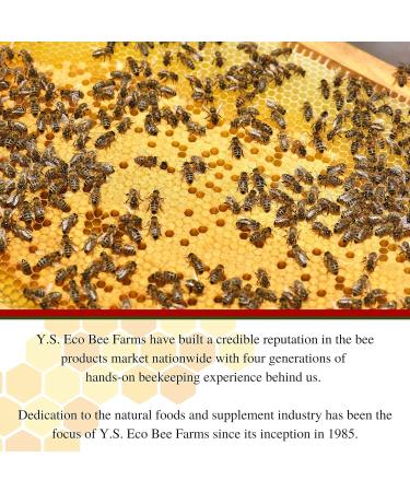 Y.S. Organic Bee Farms 100% Certified Y.S. Organic Raw Honey Unpasteurized Unfiltered Fresh Raw State Kosher Pure Natural Healthy Safe Gluten Free Harvested with Extreme Care 2 Lb (4) - Buy Online on GoSupps.com