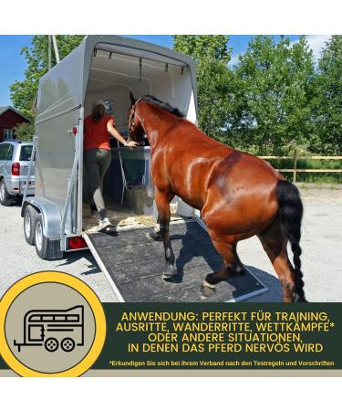 Emma Magnesium for Horses | 1L & 30ml Paste & Liquid | Calm & Relax Nervous Horses | Anti-Stress Nerve Support with Tryptophan - Buy Online on GoSupps.com