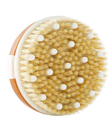 Dry Skin Body Brush - Adjustable Strap with Massage Nodes - Natural Bristle - Removes Cellulite & Dead Skin Exfoliates  Improves Lymphatic Functions  Stimulates Blood Circulation Tightens Skin