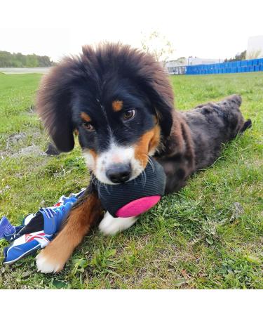 Dingo Gear Training Toy Ball 9cm - Black-Rosa with 65cm Handle | French Nylcott Material for IGP Obedience & Apport Training | Ideal Small Dog Toy - Buy Online on GoSupps.com