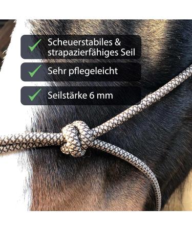Knothalter for Floor Work Horse - Optimal Knot Helper COB for Free Work & Soil Training (Shetland Braun-Beige) | International Shipping - Buy Online on GoSupps.com