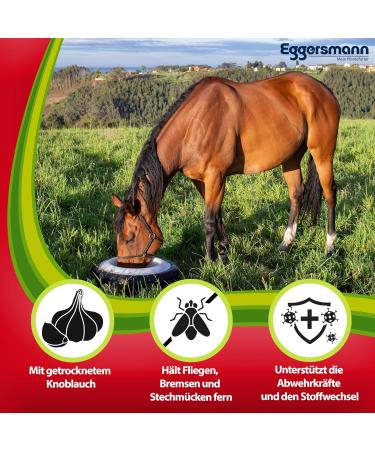 EGGERSMANN Professional Garlic Plus 1kg - Horse Supplement Feed Against Flies Mosquitoes & Metabolism Support - Buy Online on GoSupps.com